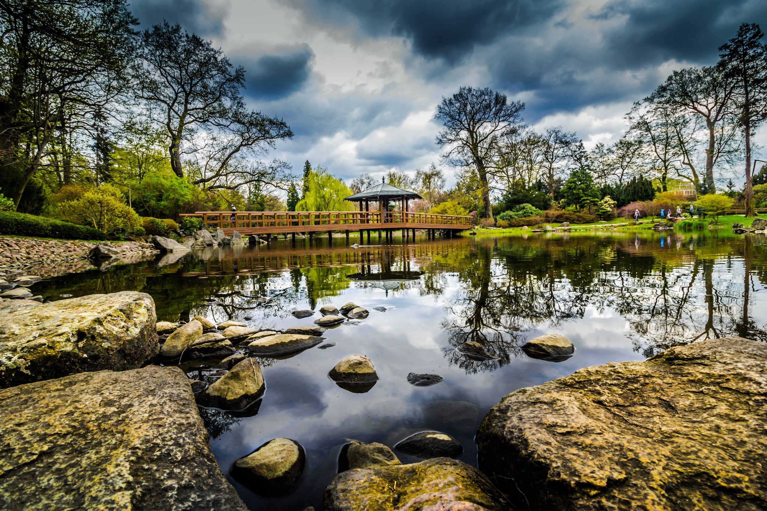 Healthy pond